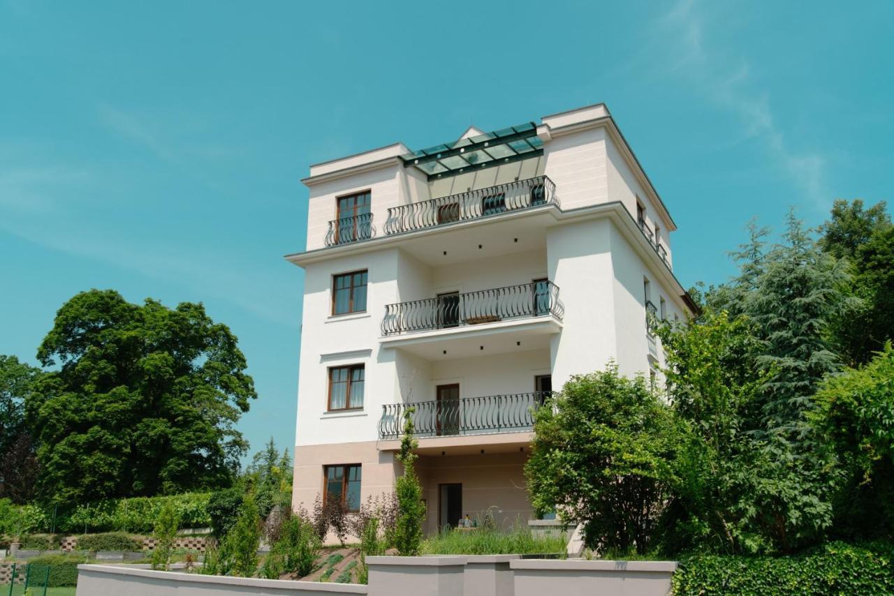 Vila Maister Целе Экстерьер фото