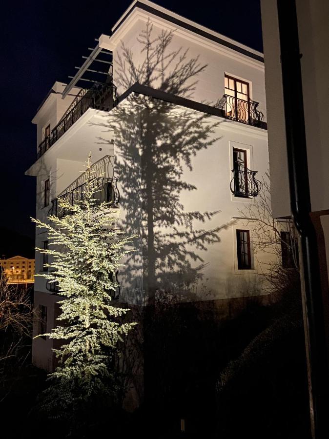 Vila Maister Целе Экстерьер фото